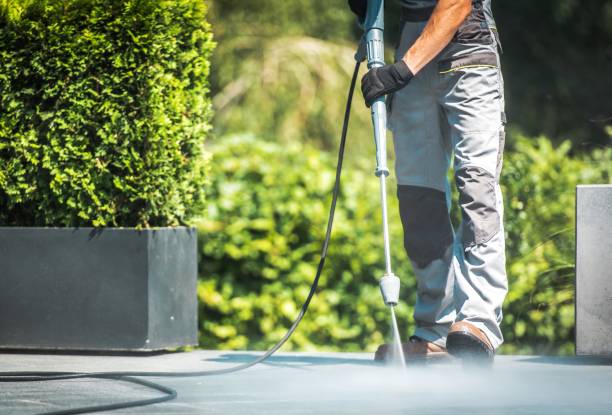 Best Solar Panel Cleaning  in West Hurley, NY