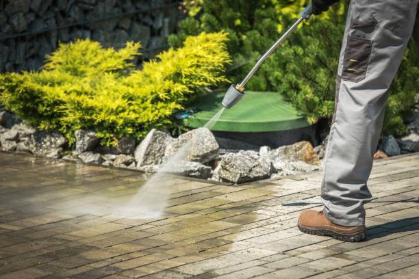 Best Animal Enclosure Cleaning  in West Hurley, NY